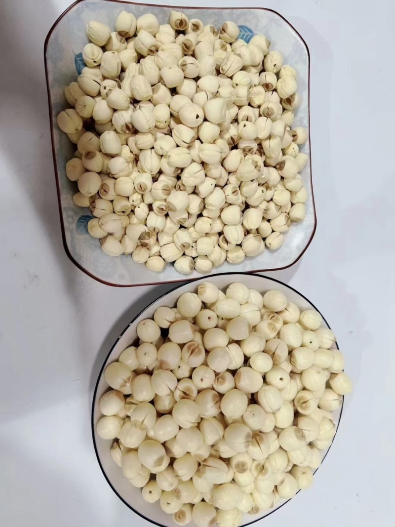 新鲜去心鲜白莲子，产地直供全国各地，**商超档口电商平台