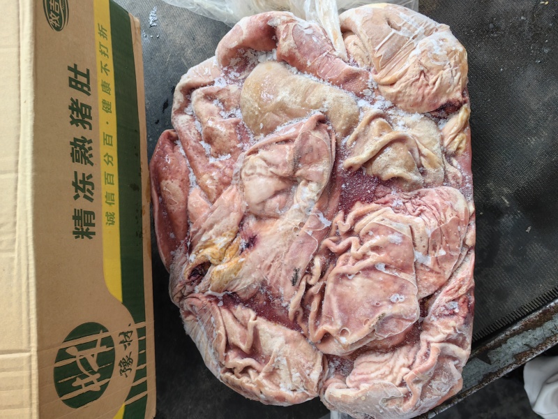 二级大肚