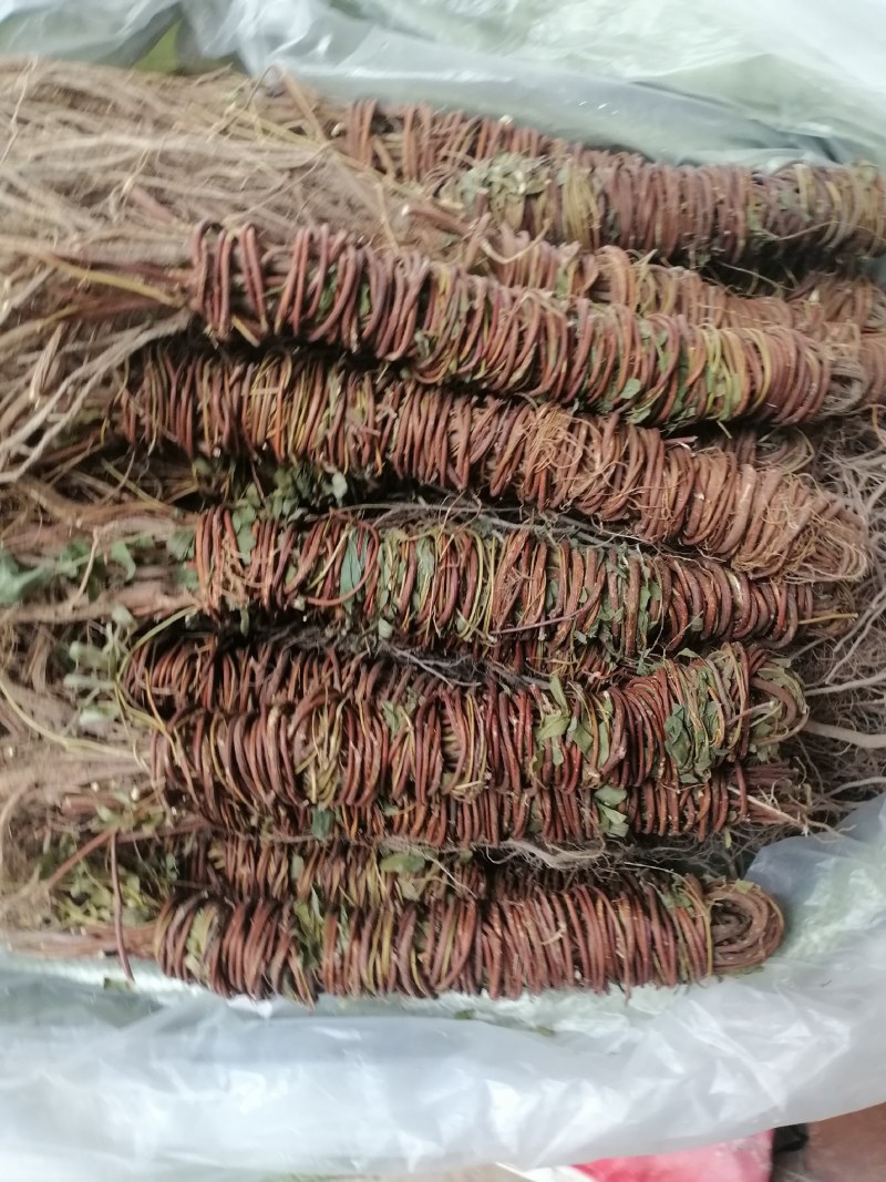 【产地直供】鸡骨草纯无硫鸡骨草现货批发可视频看货