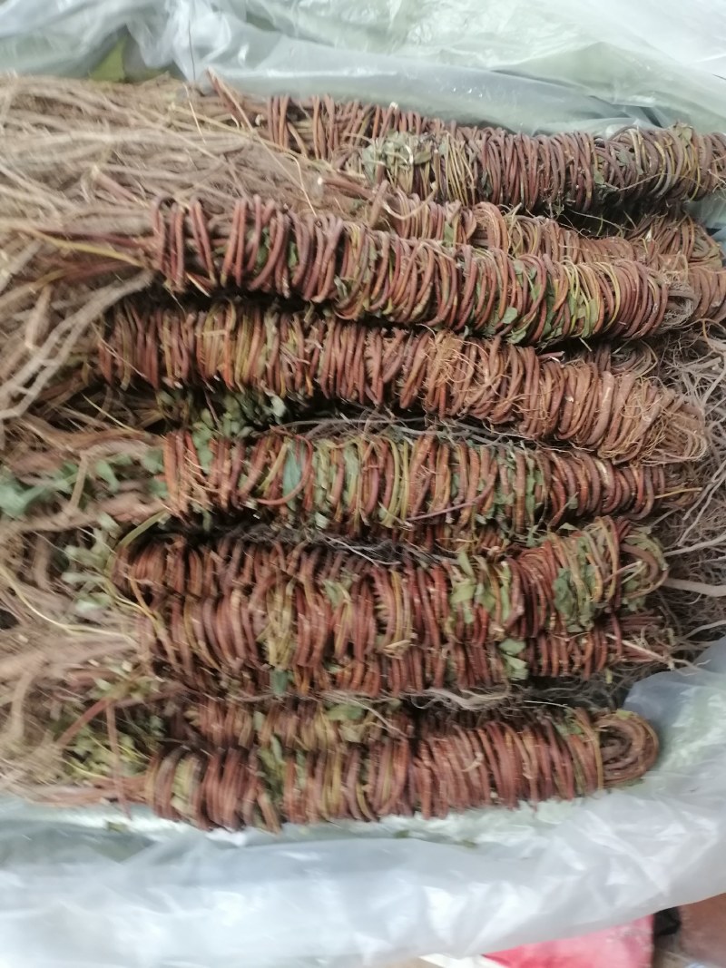 【产地直供】鸡骨草纯无硫鸡骨草现货批发可视频看货