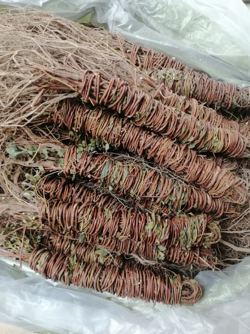 【产地直供】鸡骨草纯无硫鸡骨草现货批发可视频看货