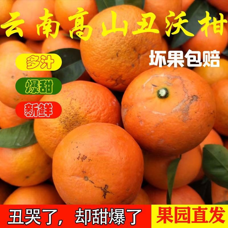 云南红河沃柑/云南蜜桔/高山蜜桔/云南蜜桔