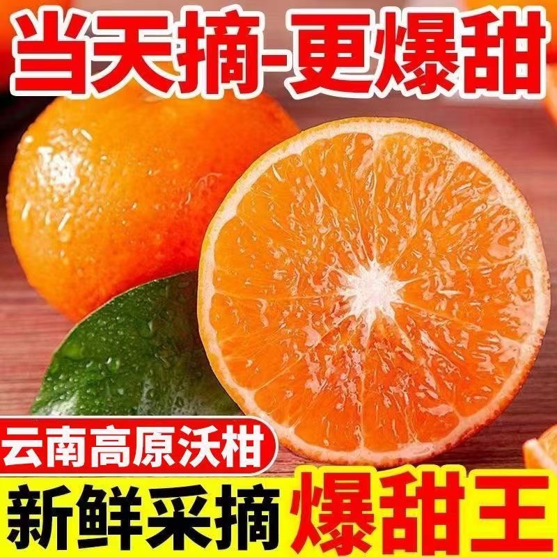 云南红河沃柑/云南蜜桔/高山蜜桔/云南蜜桔