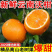云南红河沃柑/云南蜜桔/高山蜜桔/云南蜜桔