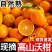 云南红河沃柑/云南蜜桔/高山蜜桔/云南蜜桔