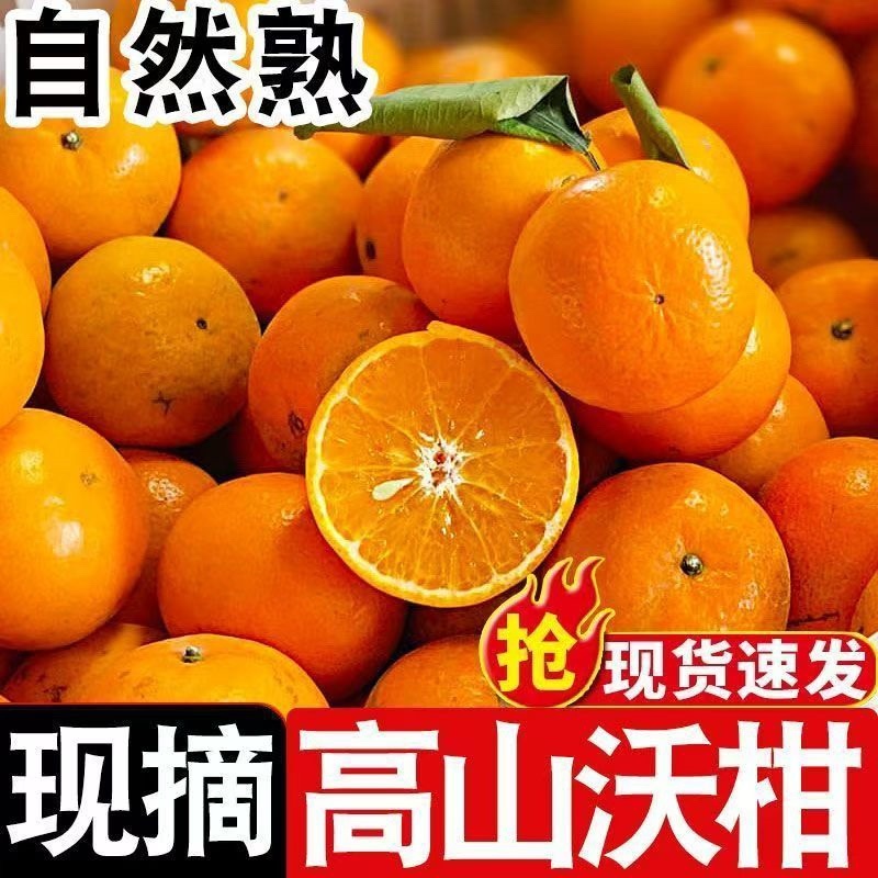 云南红河沃柑/云南蜜桔/高山蜜桔/云南蜜桔
