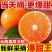云南红河沃柑/云南蜜桔/高山蜜桔/云南蜜桔