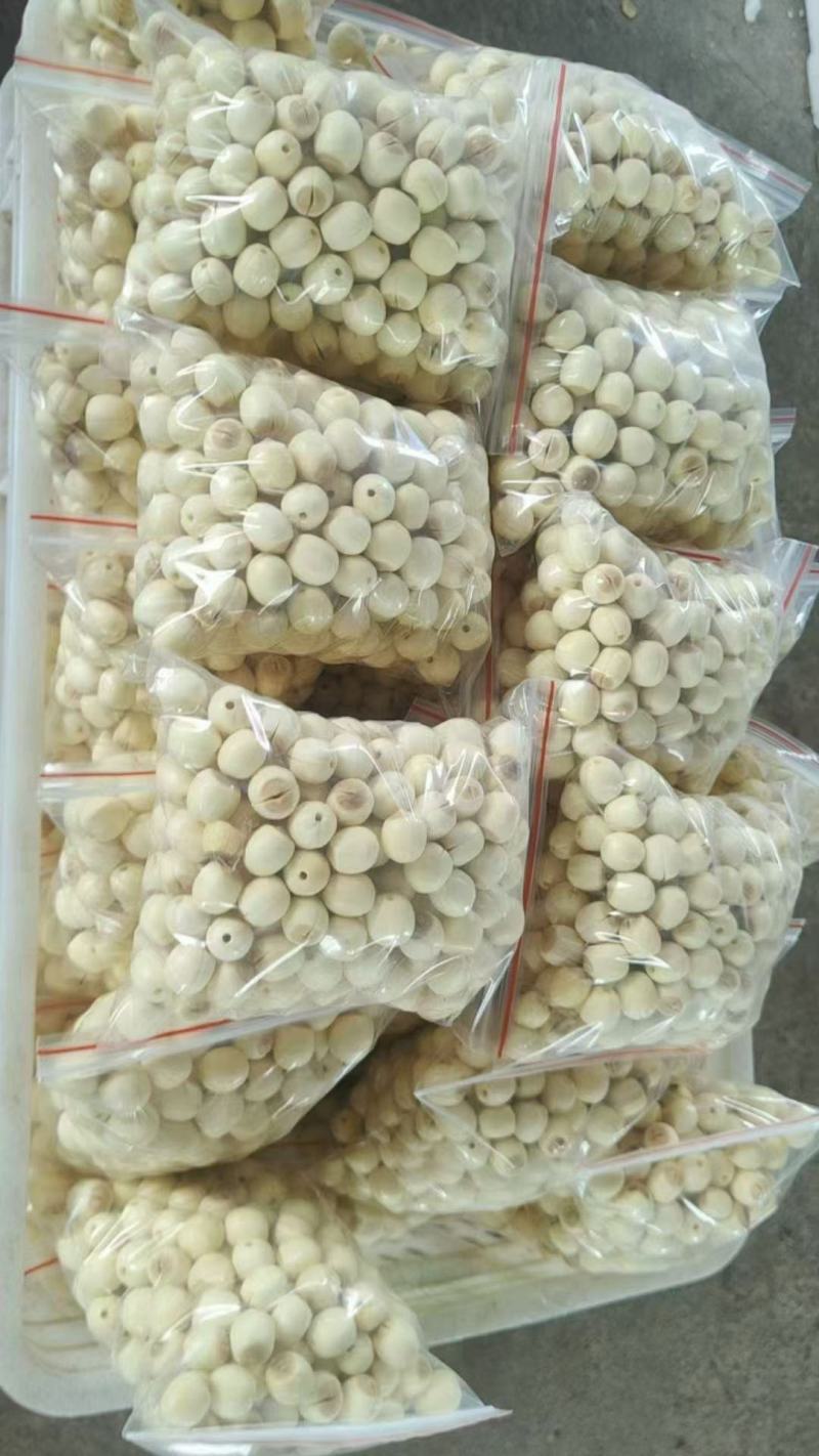 新鲜去心鲜白莲子直供全国**超市电商社区团购一件代发