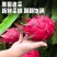 云南红河红心火龙果/农家种植的/高山火龙果