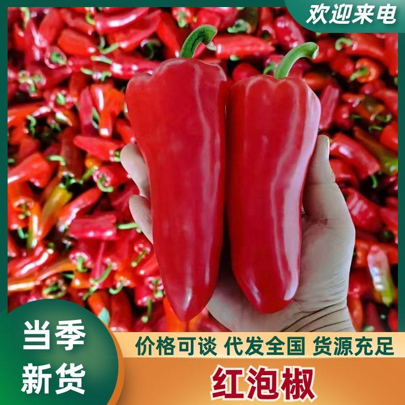 长阳精品红椒，基地直发，货源充足，欢迎实地考察。