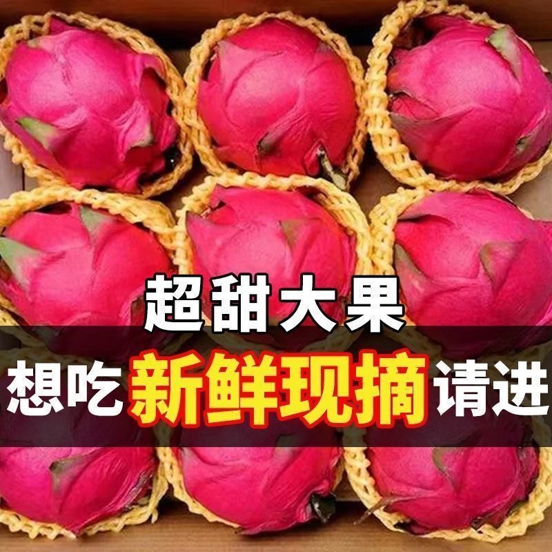 云南红河红心火龙果/农家种植的/高山火龙果