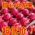 云南红河红心火龙果/农家种植的/高山火龙果