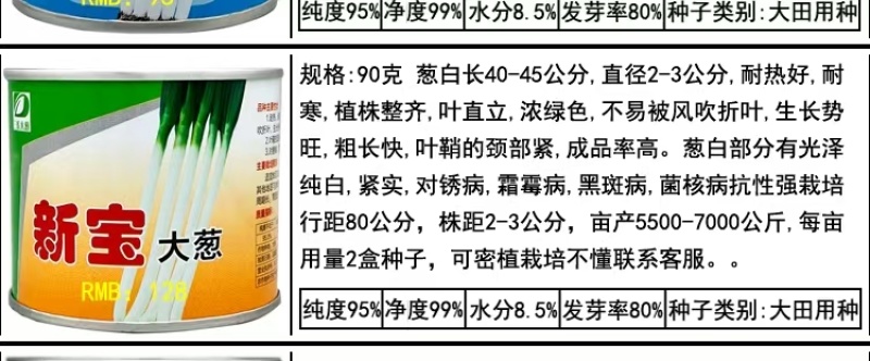 新宝钢葱营销150现价80耐寒性好抽抬晚冬季不休眠返青快