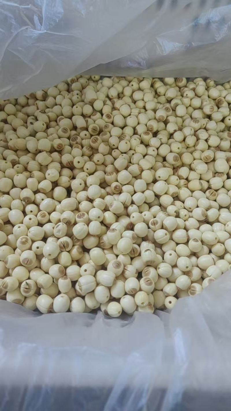 新鲜白莲子，基地直供，全国各地可发货**超市档口电商平台