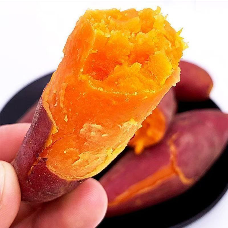 云南红河蜜薯/高山蜜薯/黄心红薯/红薯直发