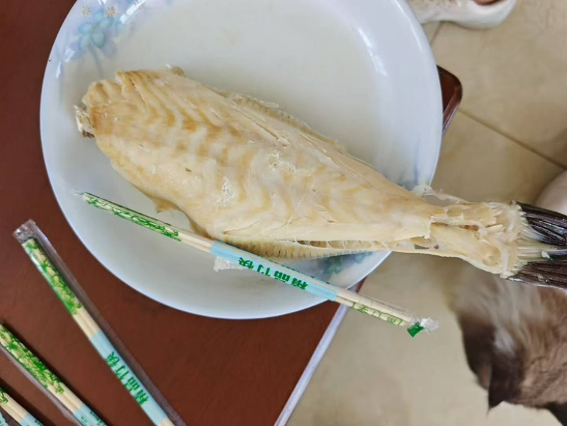 三去马面鱼免处理扒皮鱼橡皮鱼大耗儿鱼海鱼批发