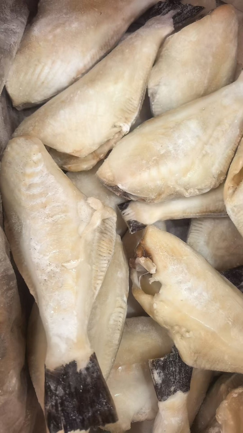 三去马面鱼免处理扒皮鱼橡皮鱼大耗儿鱼海鱼批发