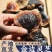 正宗小金边灵芝产地直发网红小金边电商供货泡茶泡酒煲汤