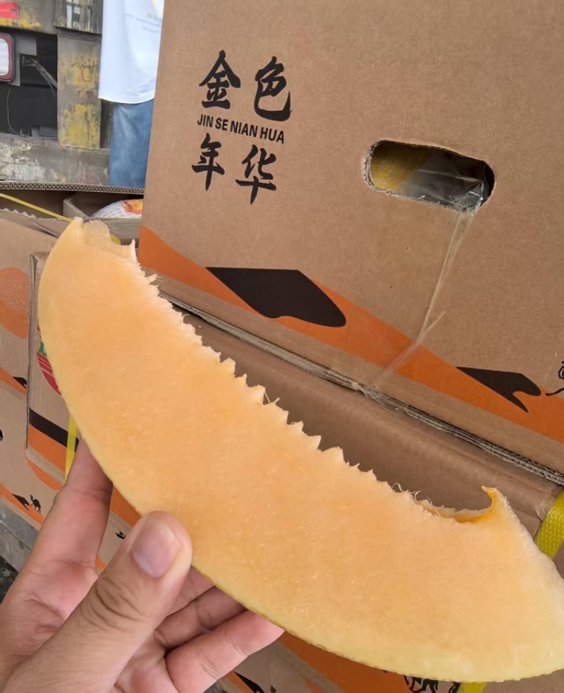 【放心购买】额济纳旗哈密瓜内蒙金色年华基地直发欢迎咨询