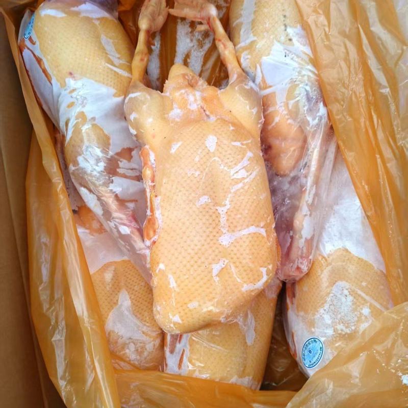 黄皮鸭
