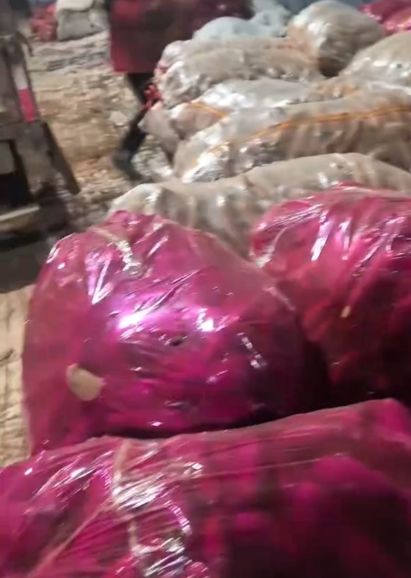 大包装龙薯九号精品龙九红薯供应市场电商加工厂