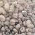 养殖薯超低价格养殖场红薯种植基地直供可视频看货