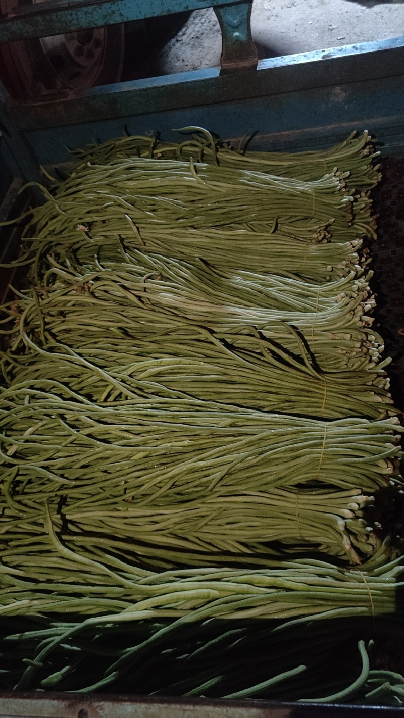 长豆角大量供应，市场，电商，社区团购，伙房，超市