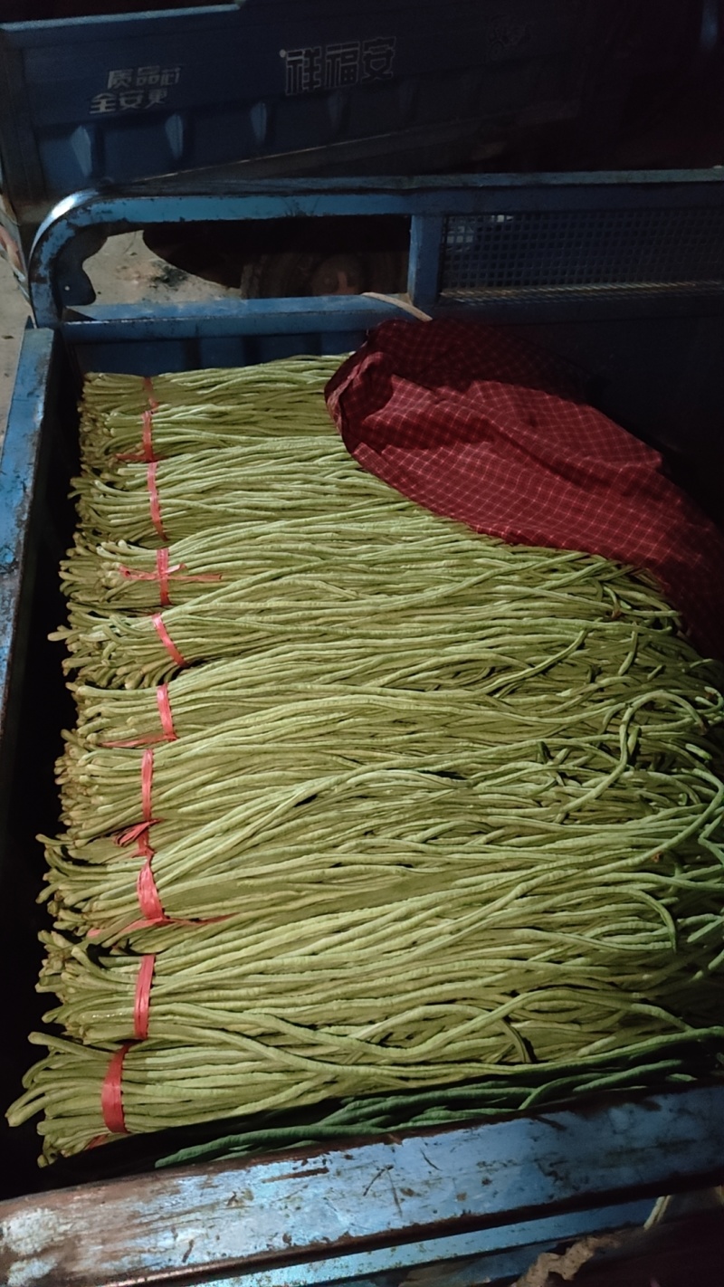 长豆角大量供应，市场，电商，社区团购，伙房，超市