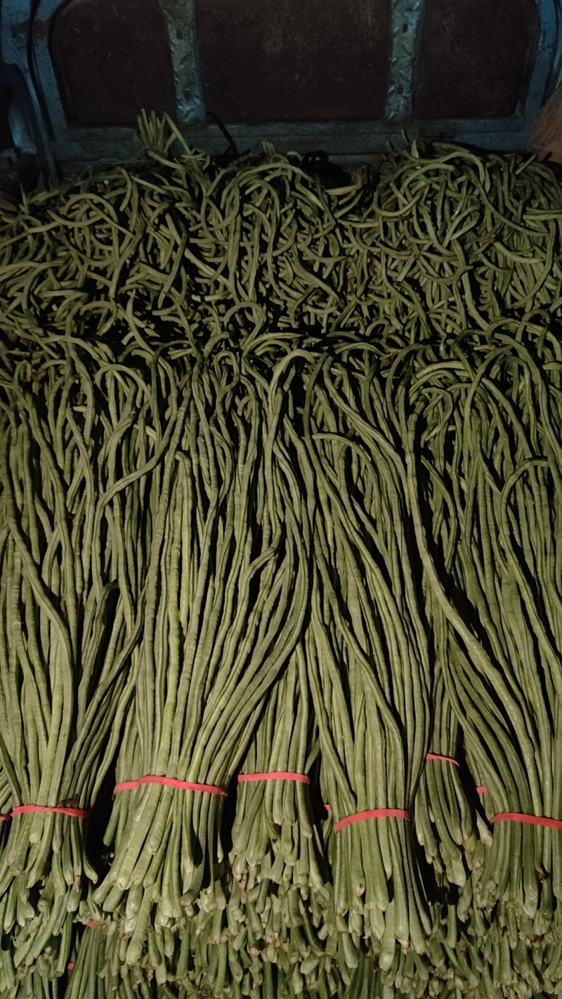 长豆角大量供应，市场，电商，社区团购，伙房，超市