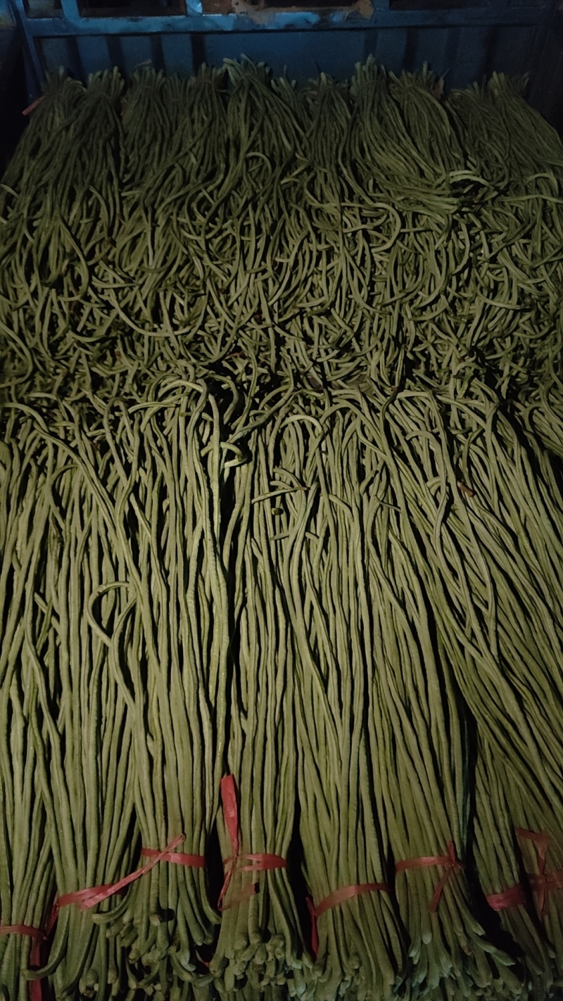 长豆角大量供应，市场，电商，社区团购，伙房，超市