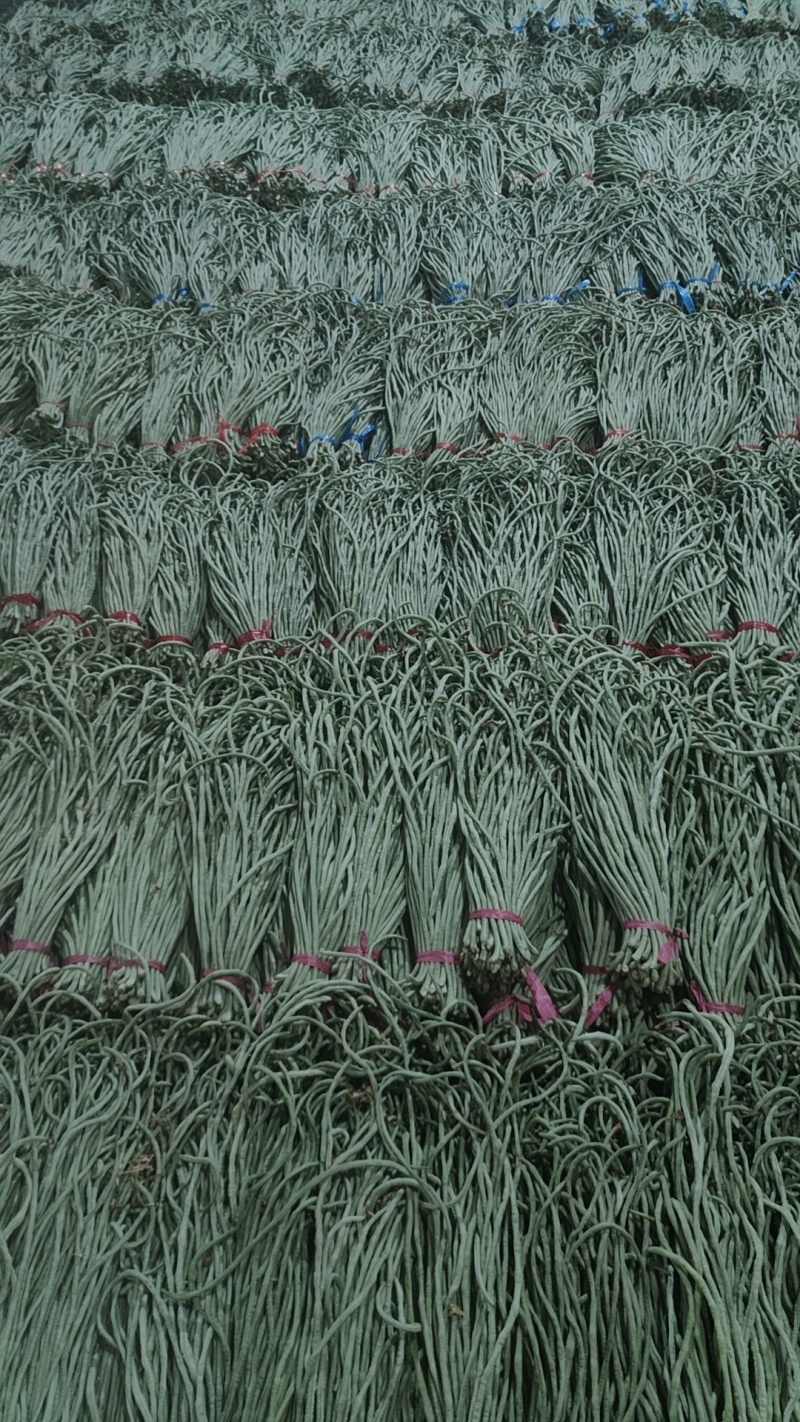 长豆角大量供应，市场，电商，社区团购，伙房，超市
