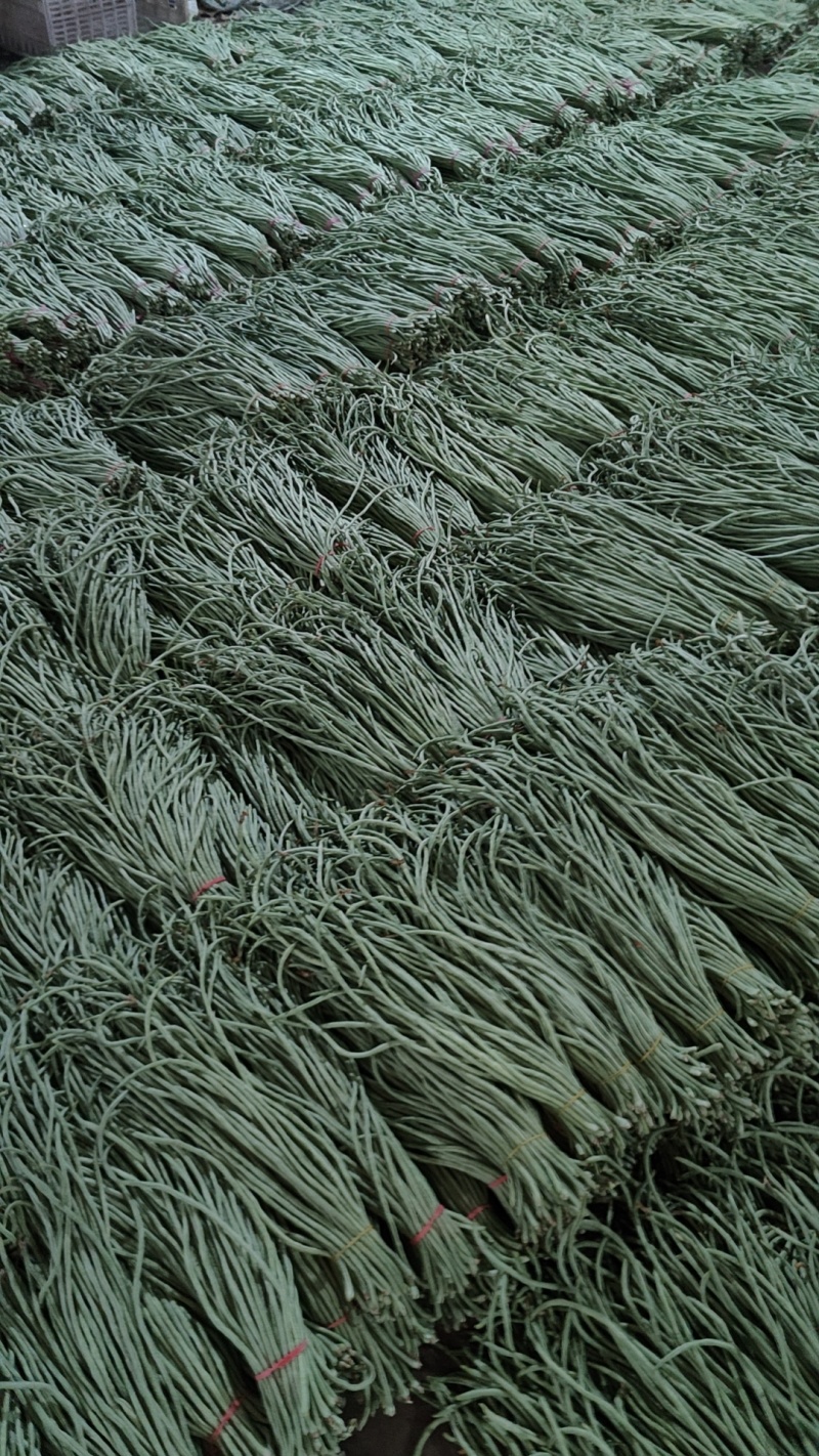 长豆角大量供应，市场，电商，社区团购，伙房，超市
