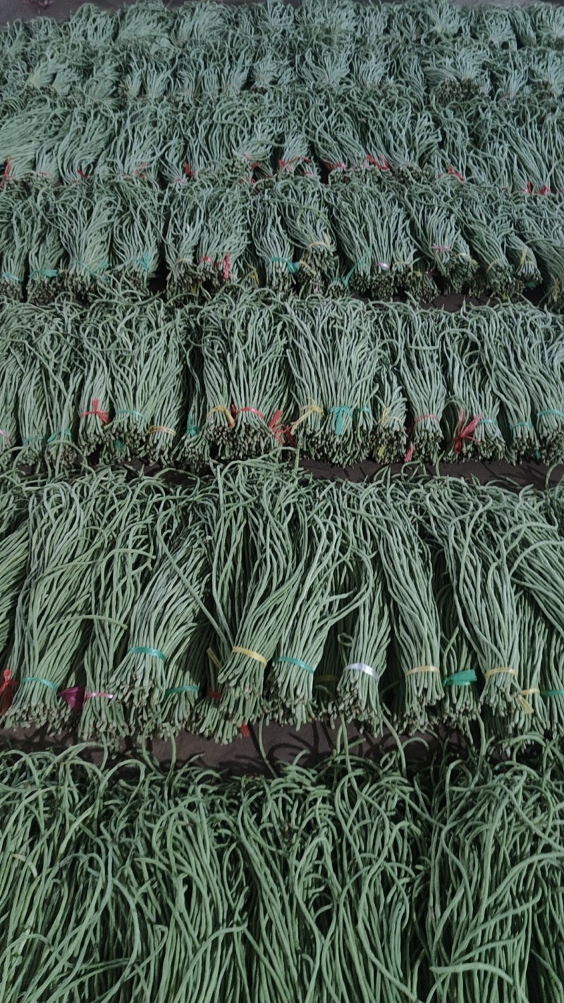长豆角大量供应，市场，电商，社区团购，伙房，超市