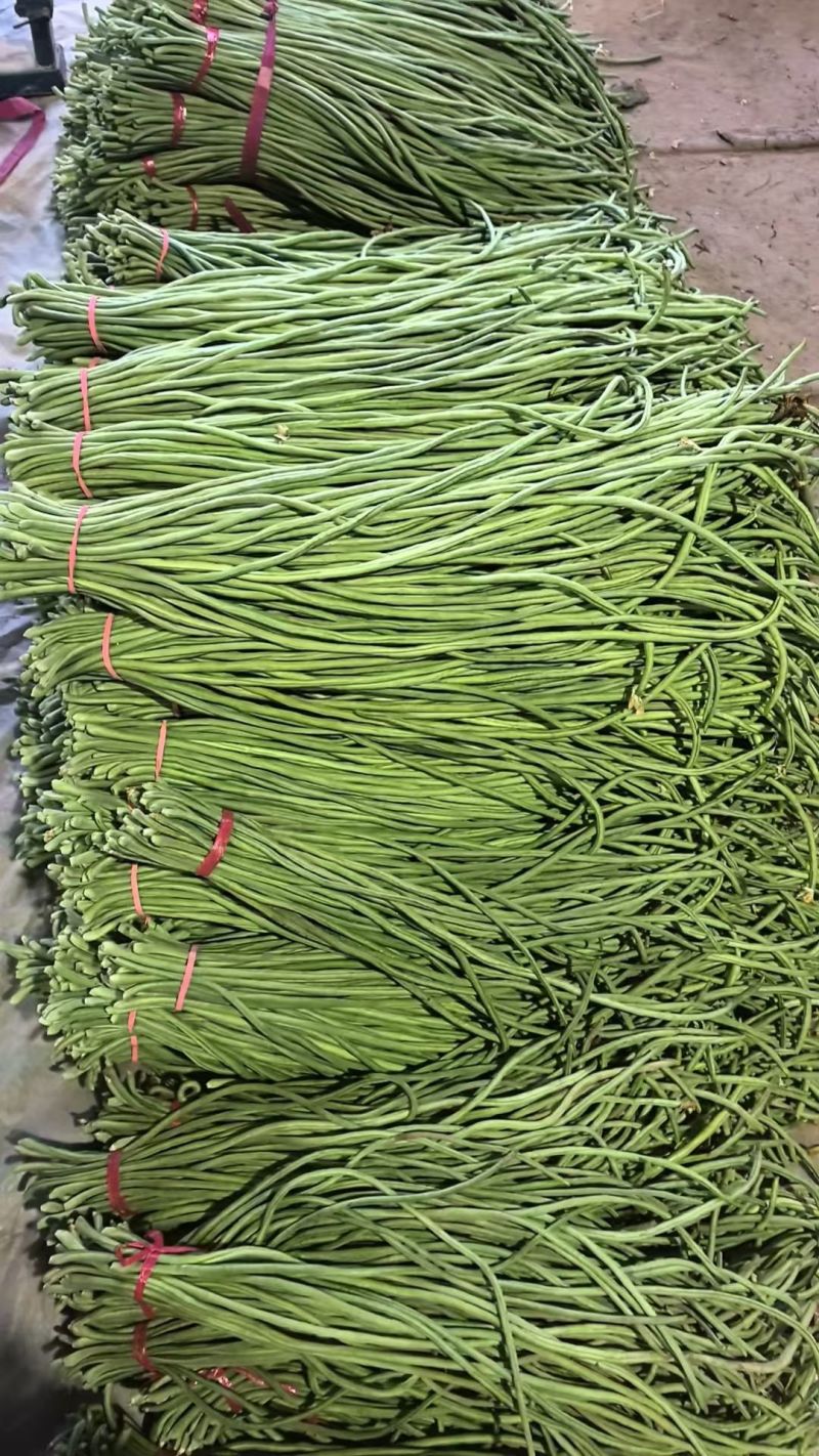长豆角大量供应，市场，电商，社区团购，伙房，超市