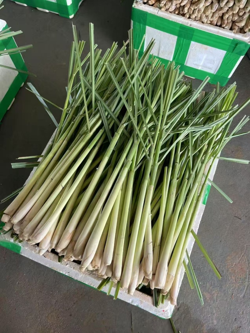 香茅草