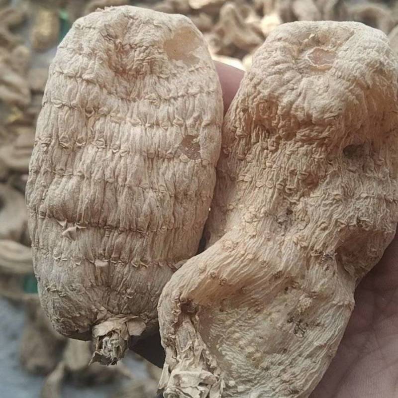 黄天麻