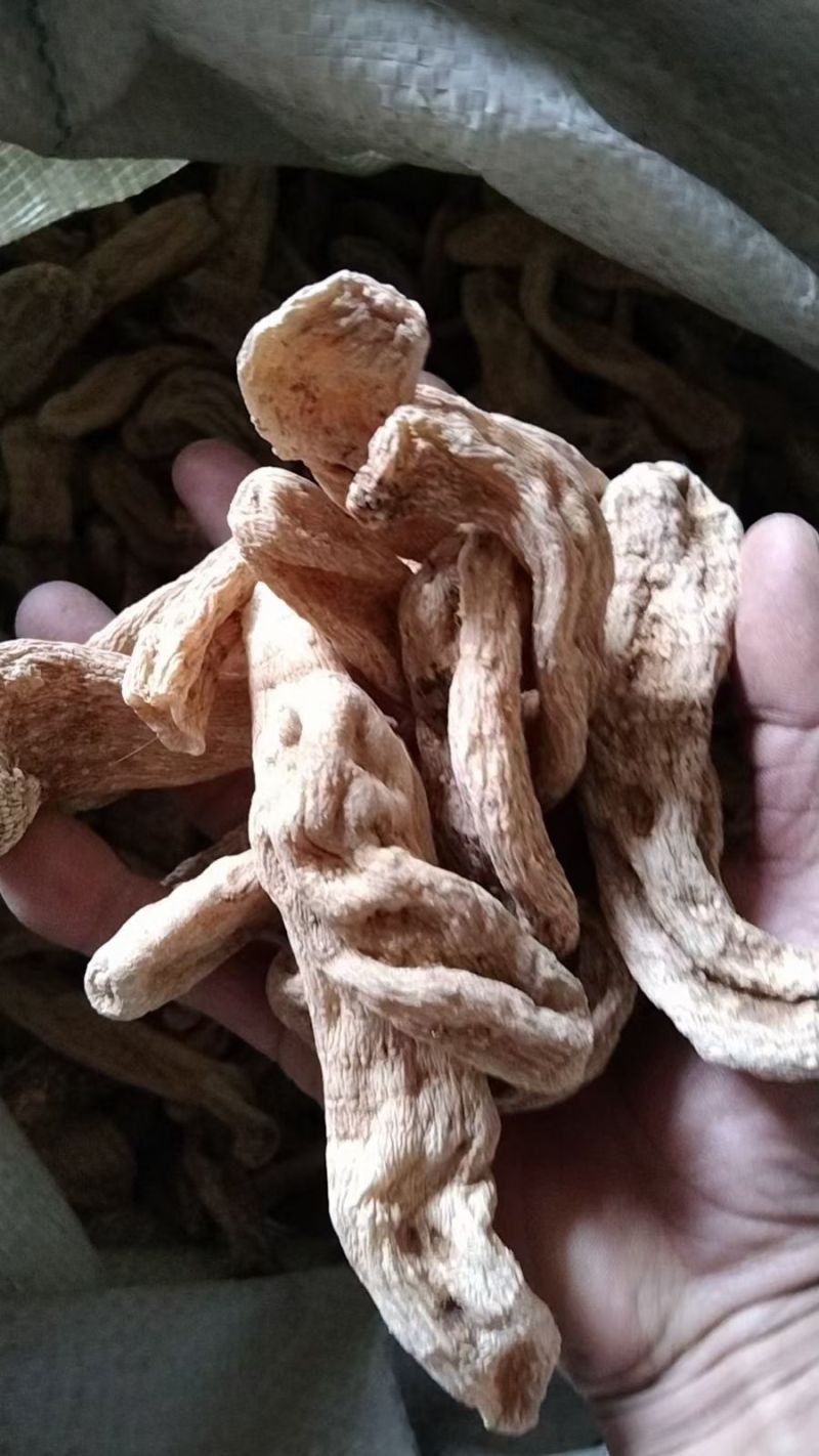 黄天麻