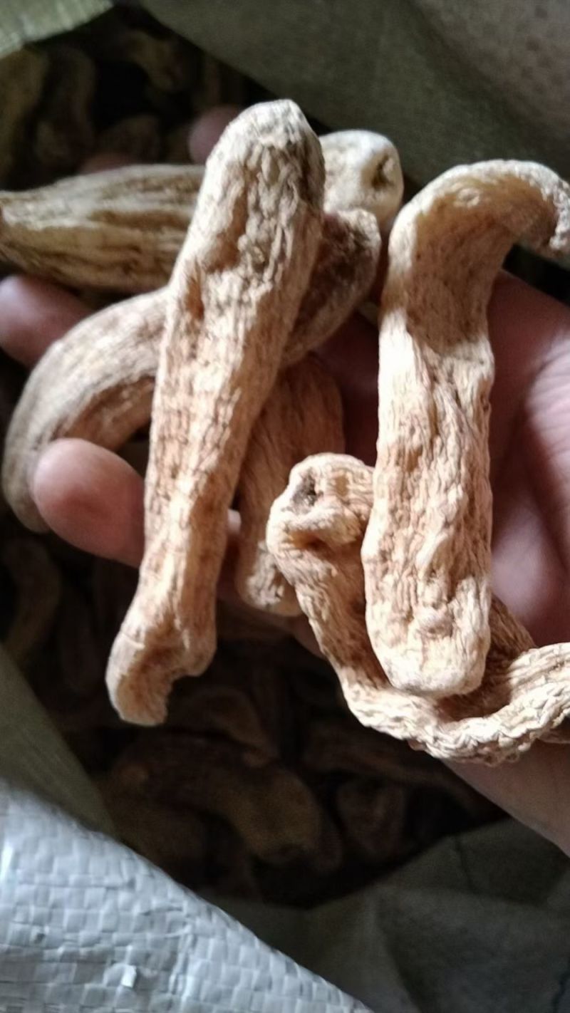 黄天麻
