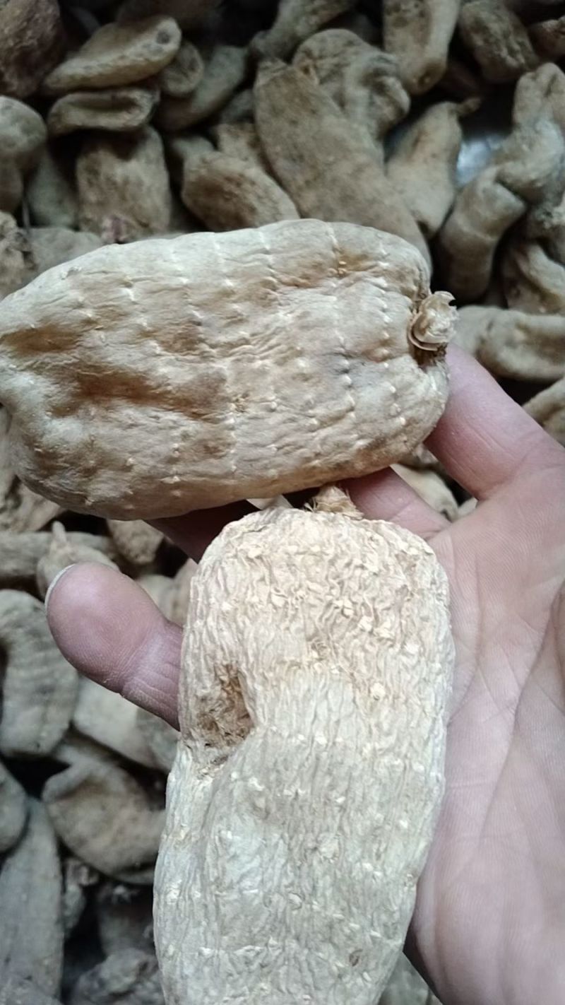 黄天麻