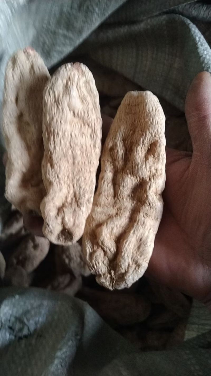 黄天麻