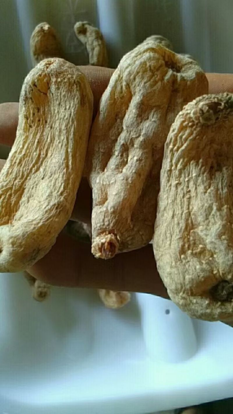 黄天麻