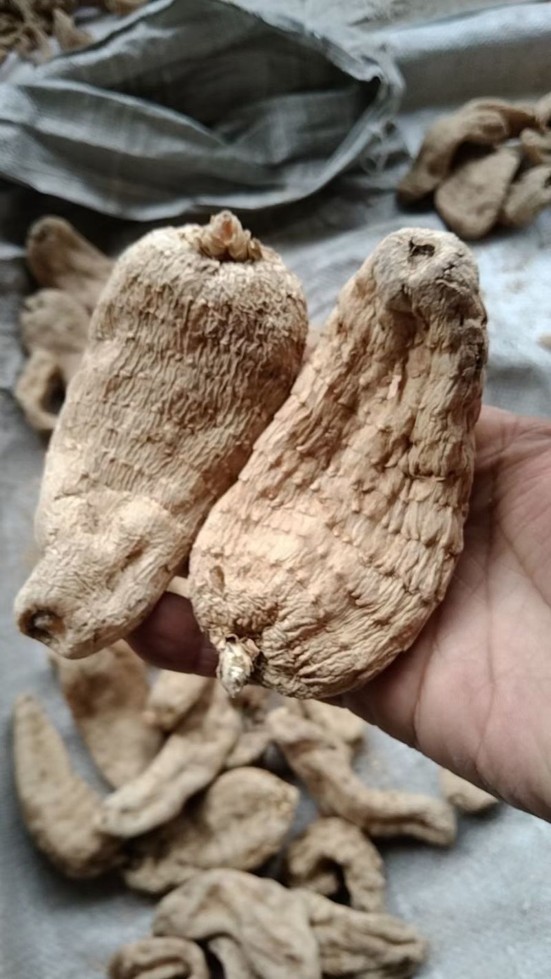 黄天麻