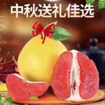 白肉！红肉大量上市
