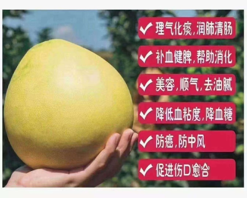 白肉！红肉大量上市