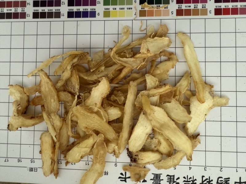 玉竹