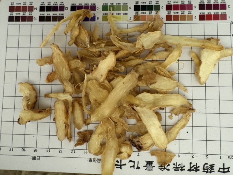 玉竹