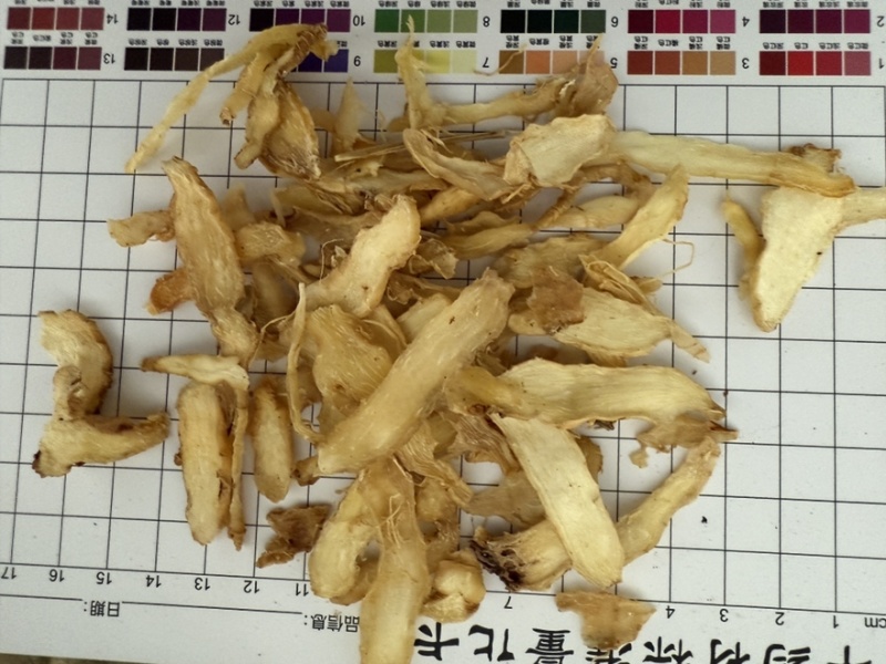 玉竹