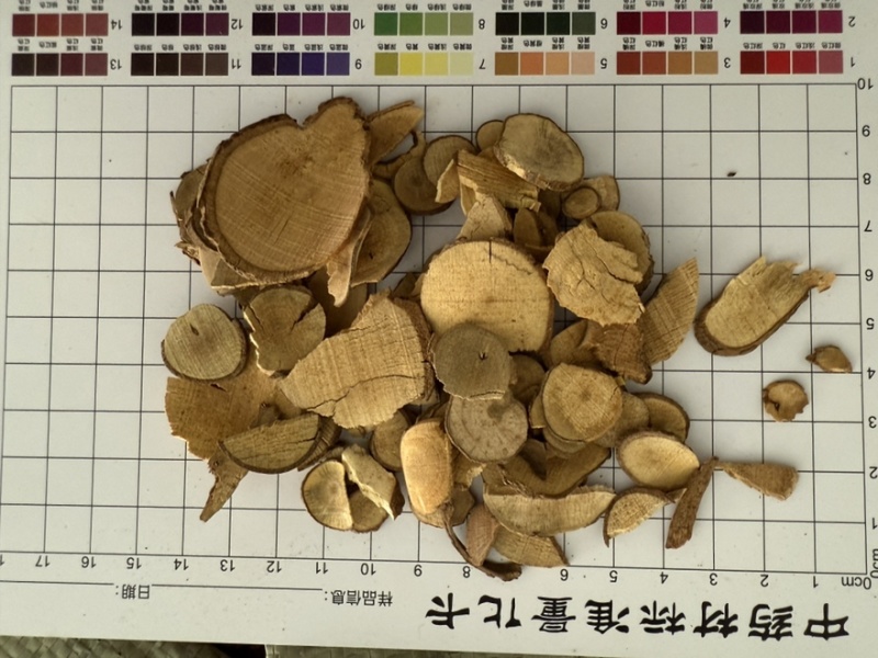 乌药