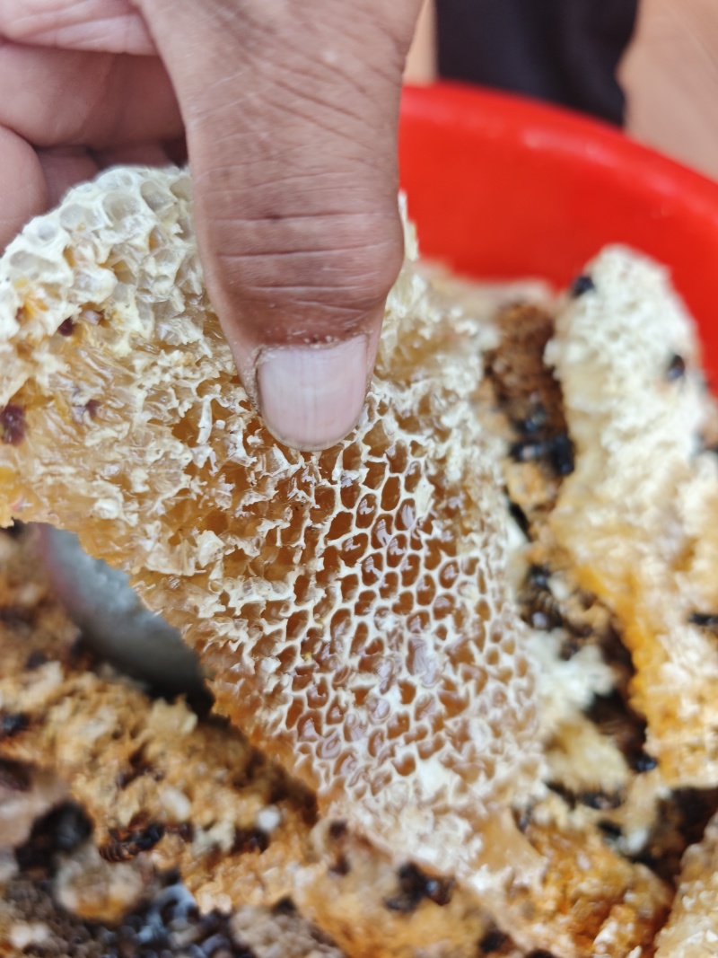 甘肃农家蜂蜜
