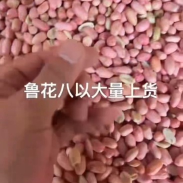 出售各种花生米，食用，炸油，常年有现货。